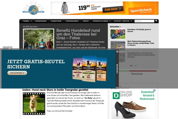 Site using Td-composer plugin