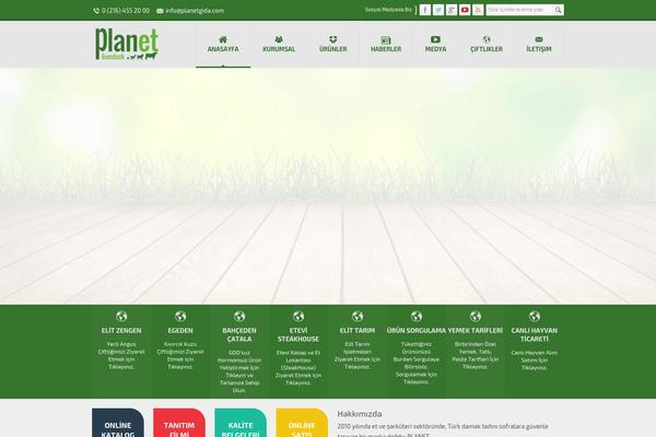 Safirkurumsal theme site design template sample