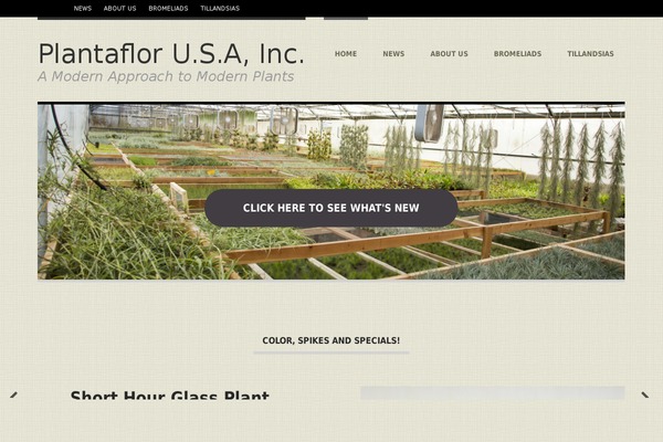 Hustle theme site design template sample