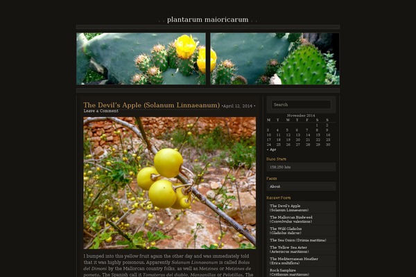 plantarum.es site used Plantarum