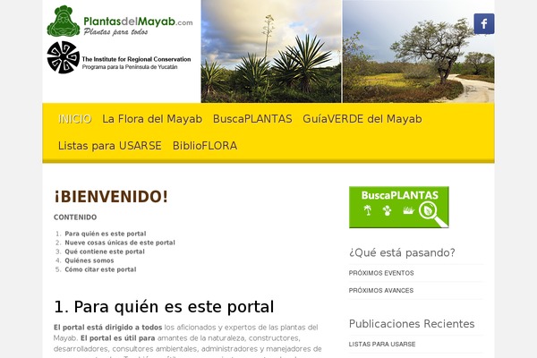 My-world-with-grass-and-dew theme site design template sample