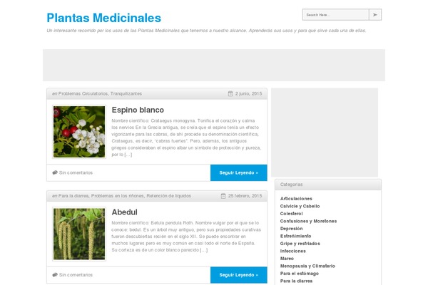 Yume theme site design template sample