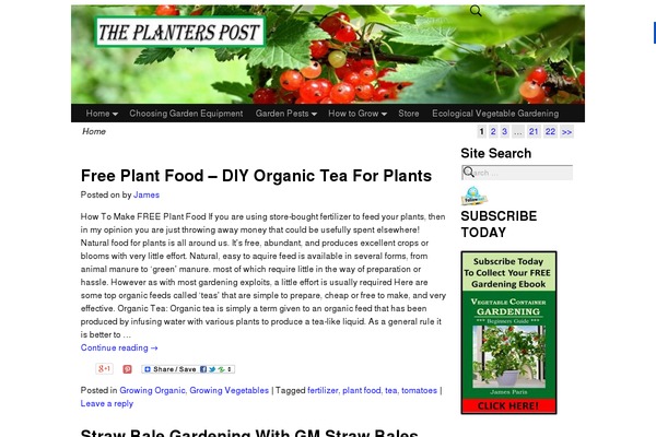Site using Monetizemore-ads-txt plugin