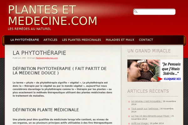 Frantic theme site design template sample