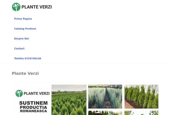 Aora theme site design template sample