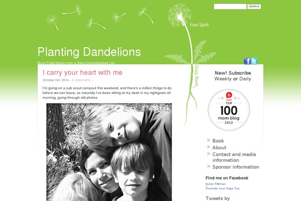 Pretty Theme theme site design template sample