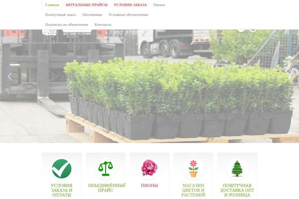 Fairytale theme site design template sample