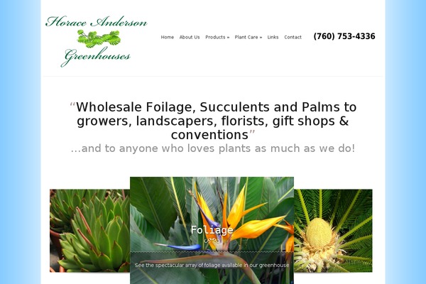 Modest theme site design template sample