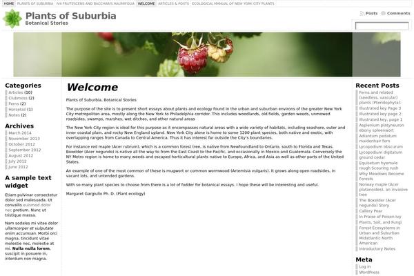 Atahualpa theme site design template sample