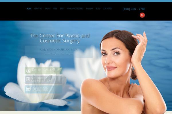 Site using Gravity Forms No CAPTCHA reCAPTCHA plugin