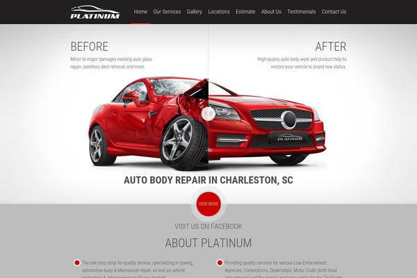 Platinum theme site design template sample