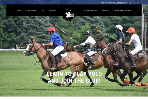 Bigslam theme site design template sample