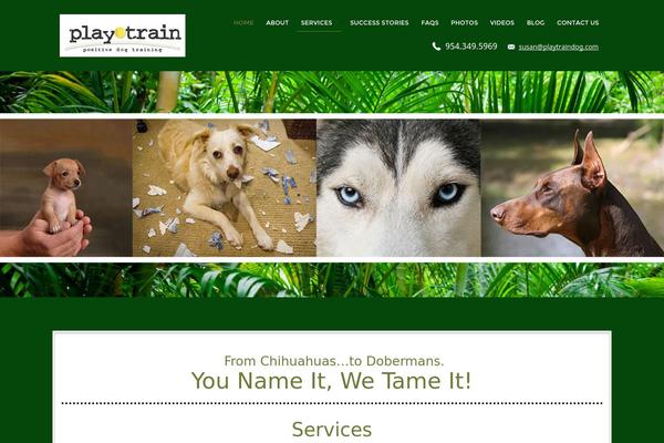 playtraindog.com site used Verbo-premium