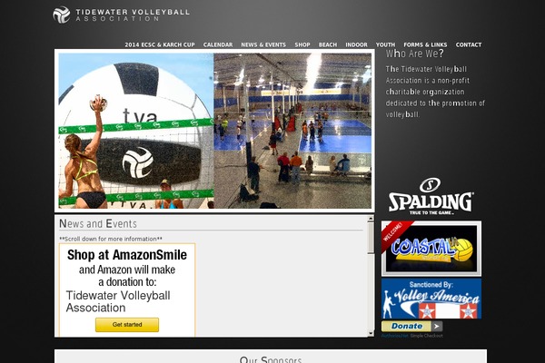 Tva theme site design template sample