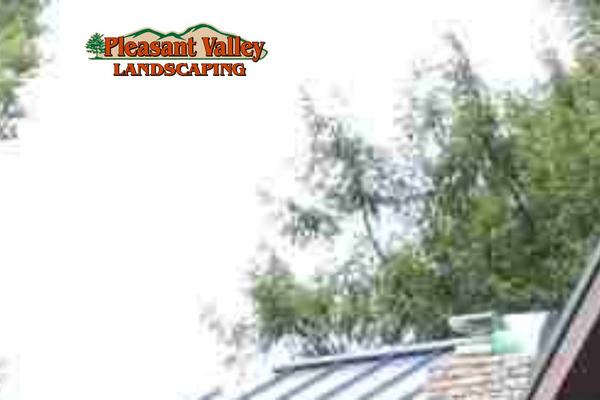 Greenthumb theme site design template sample