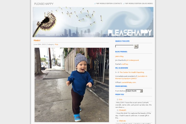 Site using Dm-albums plugin