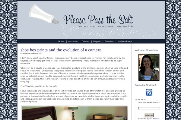pleasepassthesalt.net site used Diytheme