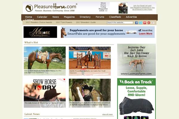 Site using Ultimate-woocommerce-auction-pro plugin