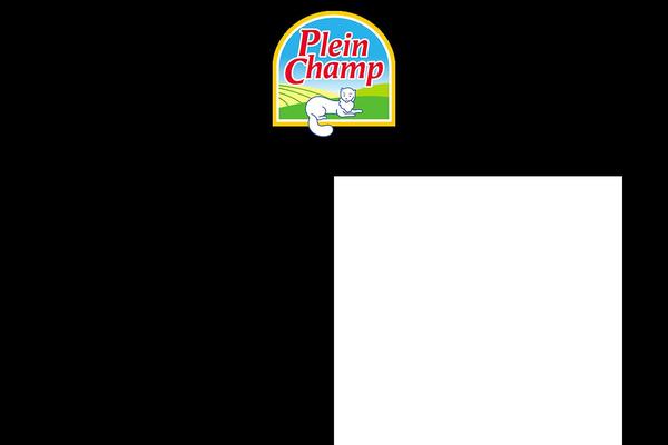 Lapa theme site design template sample