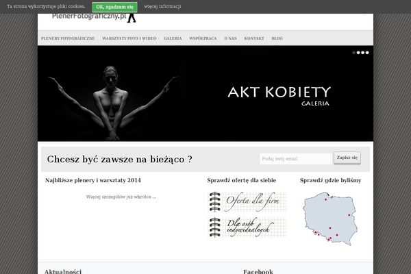 Flair theme site design template sample