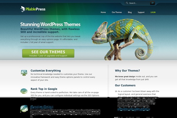 Pp theme site design template sample