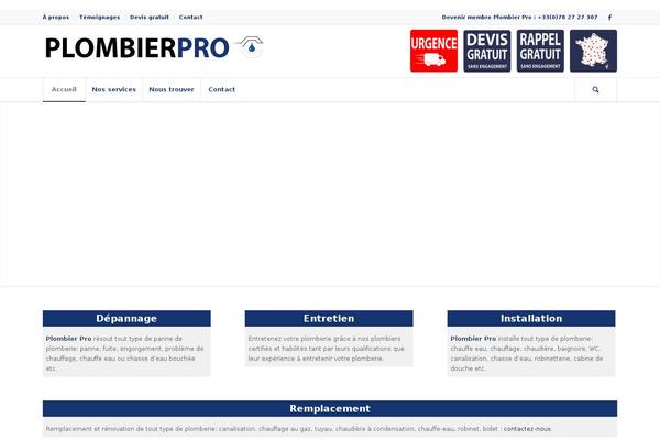 Enfold theme site design template sample