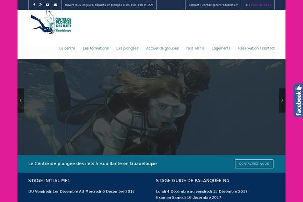 Site using Ts-visual-composer-extend plugin