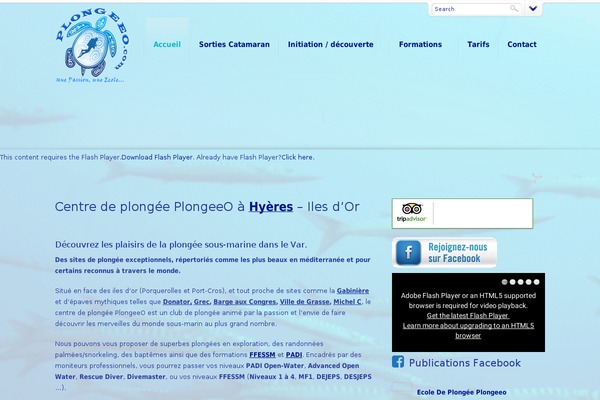 Dynamix theme site design template sample