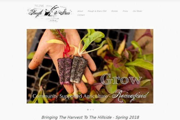 Echo theme site design template sample