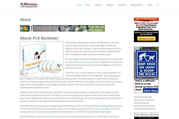 plrreviewer.com site used Divi