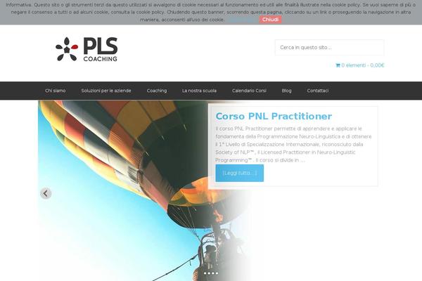 Enterprise Pro theme site design template sample