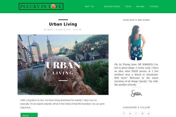 Cassia theme site design template sample