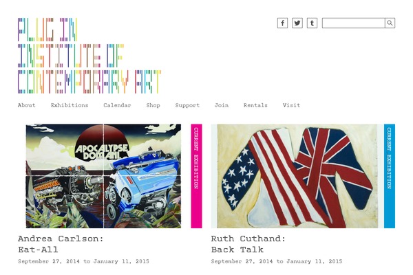 Site using Instagram Widget by WPZOOM plugin
