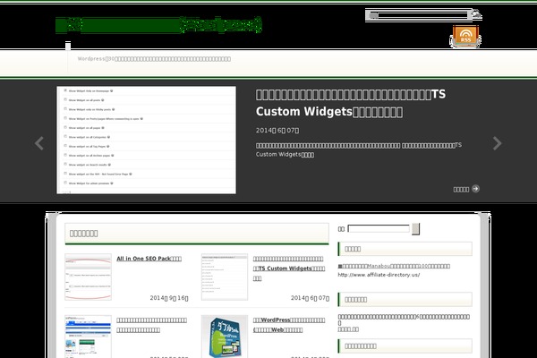 Info_custom theme site design template sample