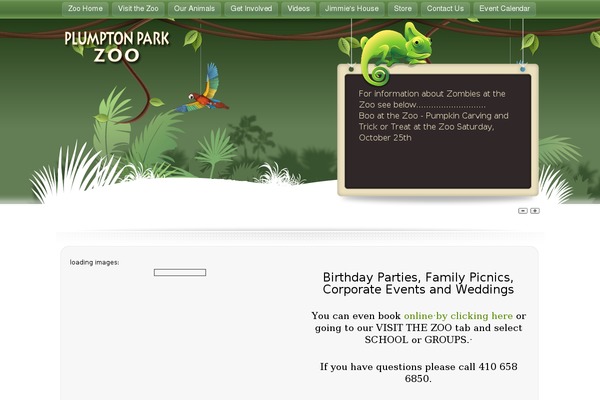 Site using Wp-social-feed plugin