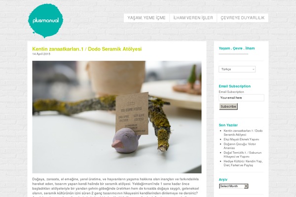 Manual theme site design template sample