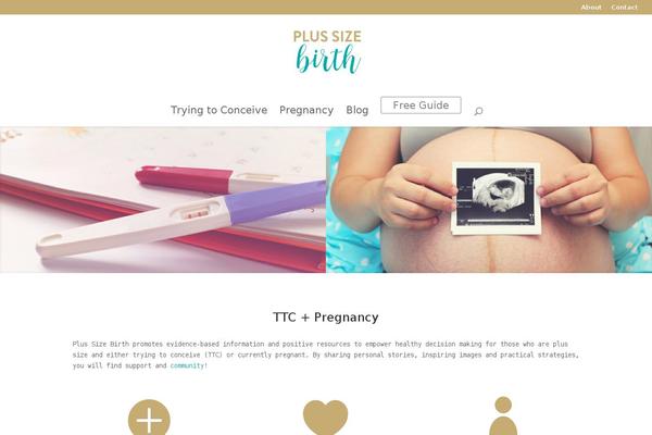 Site using Mediavine-trellis-images plugin