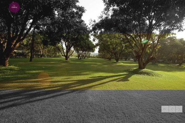 Site using Easy FancyBox plugin