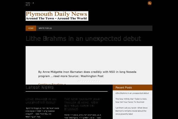The Newswire theme site design template sample