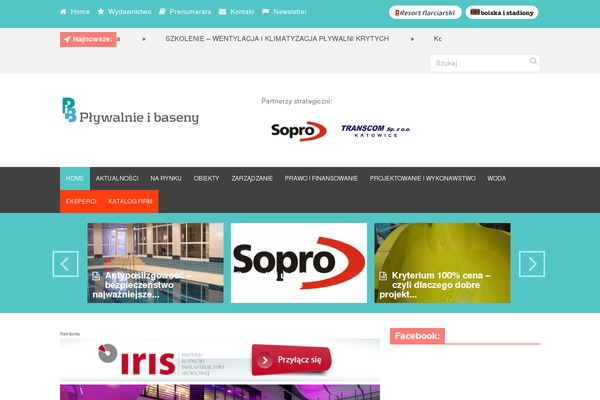 Discover theme site design template sample
