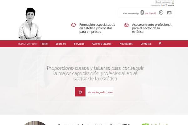 Pmc theme site design template sample