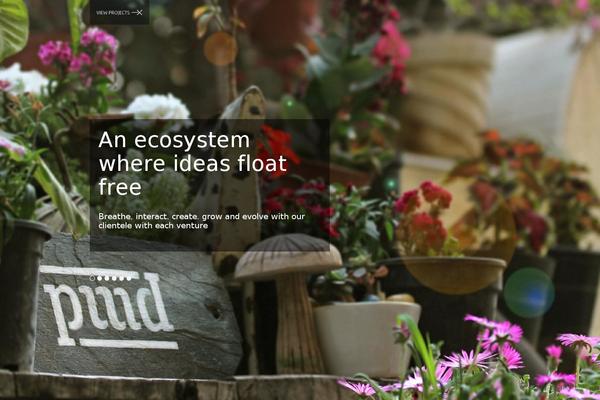 Site using Themetrust-social plugin