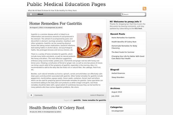 iBlog theme site design template sample