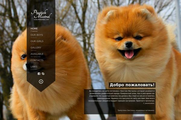 King Size theme site design template sample