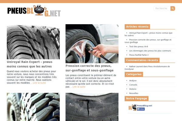 pneusblog.net site used Adaptive Flat