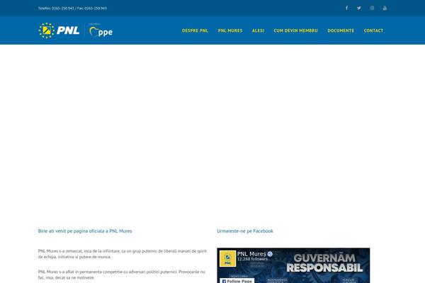 pnlmures.ro site used Stone-edns