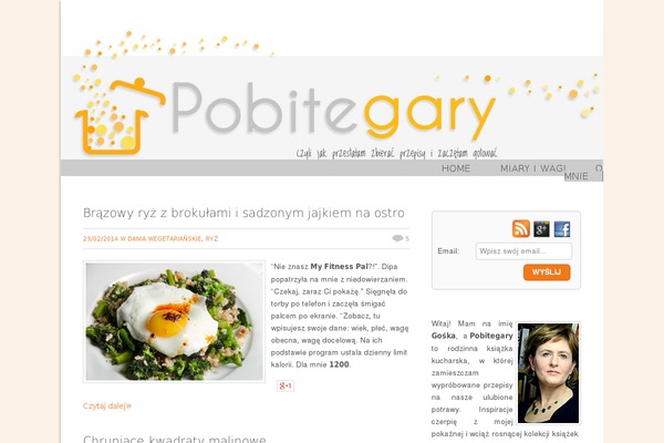dandelion_v2.6.1 theme websites examples