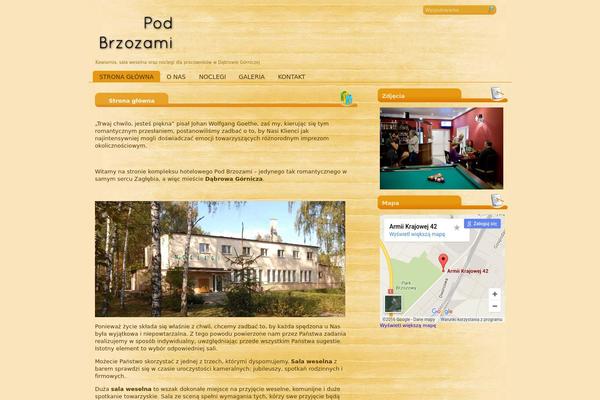 wellblog theme websites examples