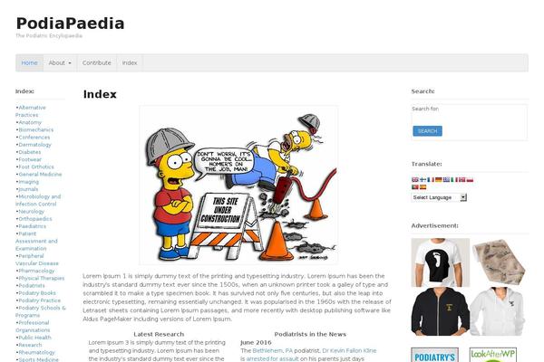 Site using Google Analytics Dashboard By Analytify plugin