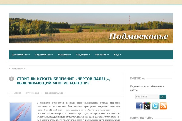 Kassandra theme site design template sample